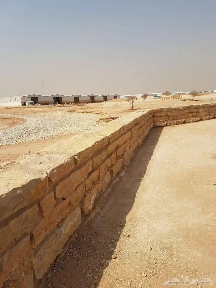 الرياض 8