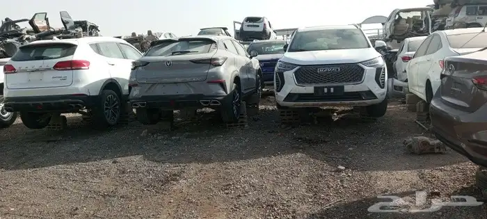 شنجان هنتر ونيت 2022تشليح 6