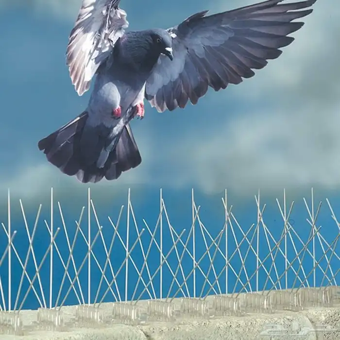 شركة تركيب طارد الحمام بالدمام 0