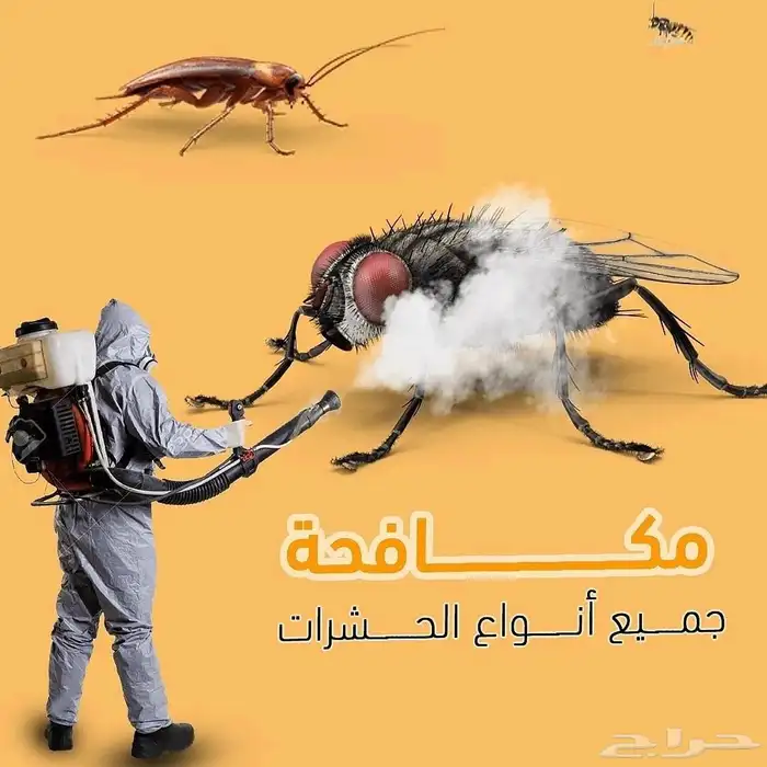 شركة مكافحة حشرات الدمام الخبر الصراصير النمل الابيض الفئران 6