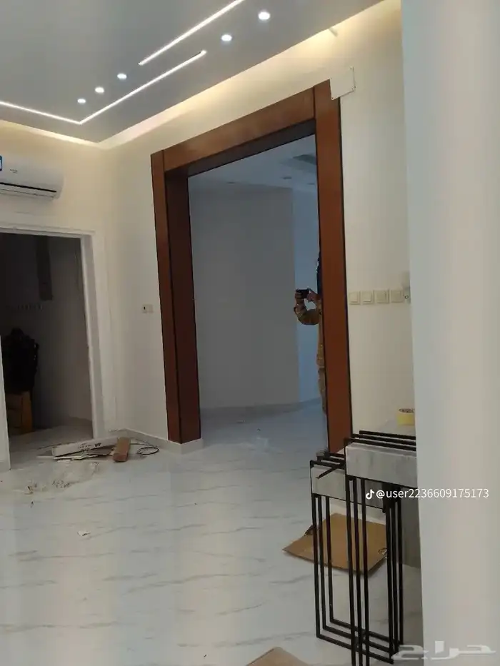 بديل شيبرد 1