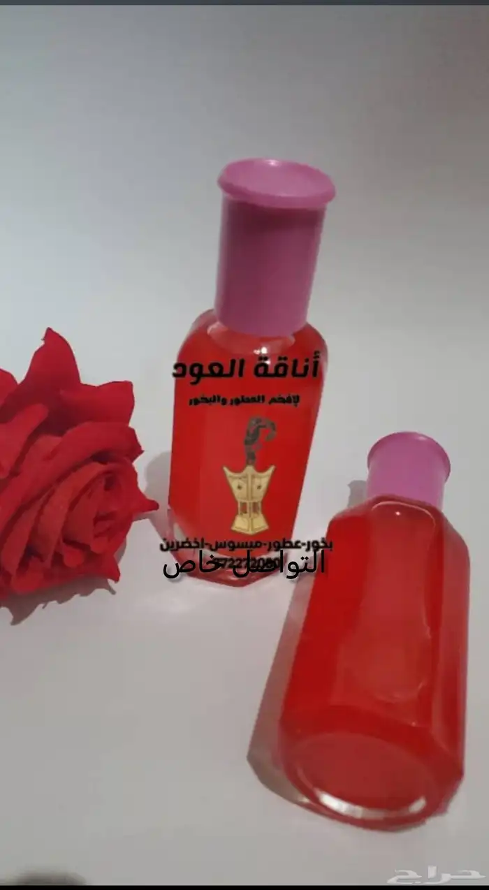 زباد بتوت البري 1
