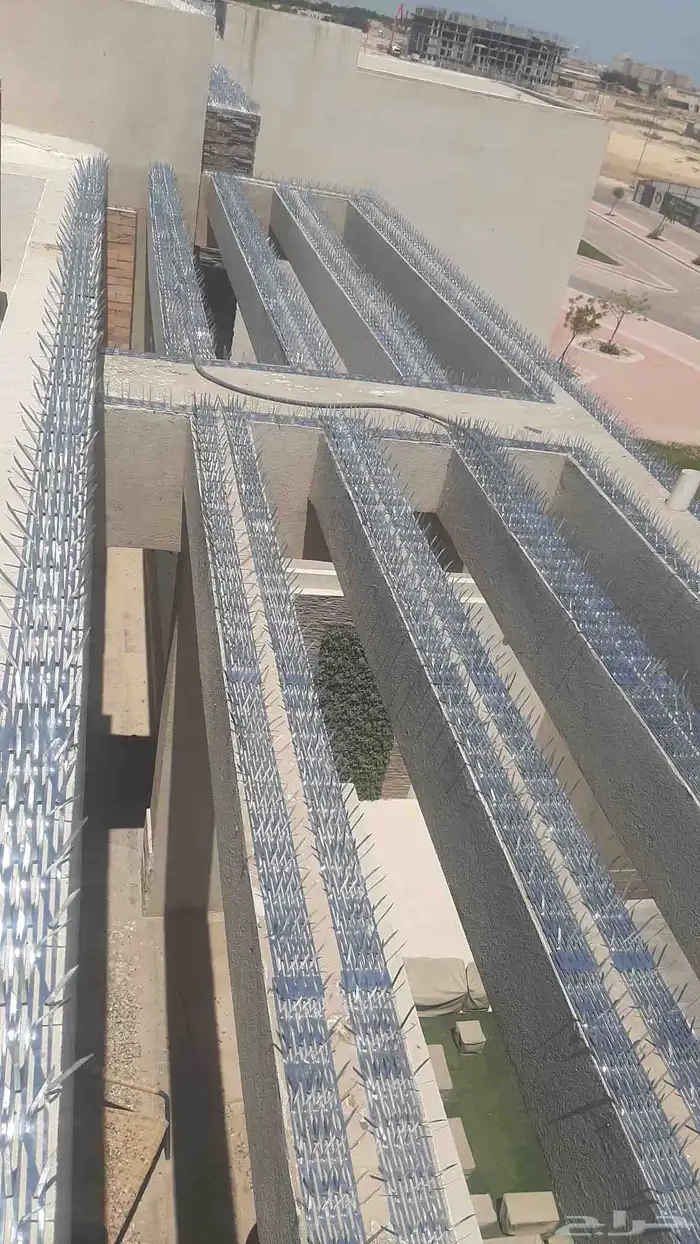 شركة تركيب طارد الحمام بالدمام 1