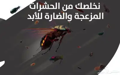 رش مبيدات- مكافحة حشرات- عقود بلدية معتمدة index