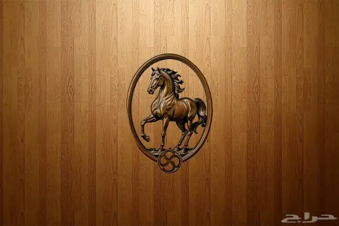 تصميم شعارات فخمه بأسعار رمزيه 16