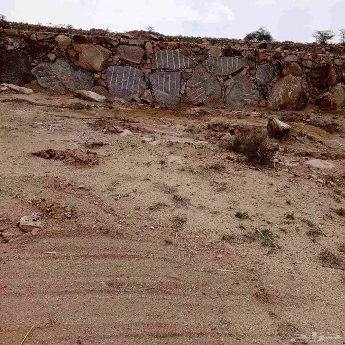 موقول حجر افغاني بو لين 1