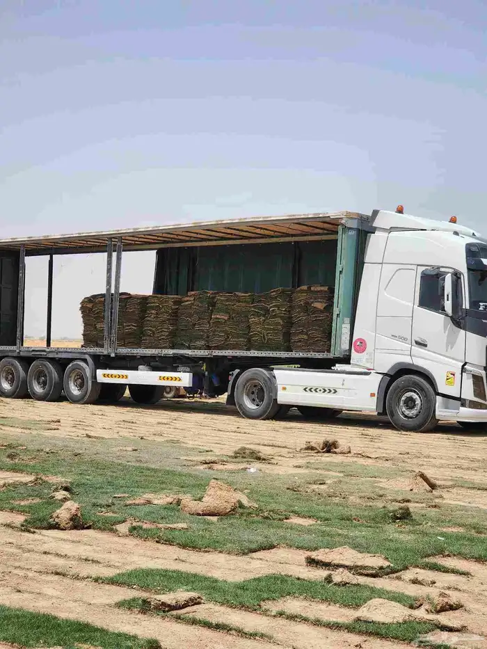 ثيل(نجيله) سي2000 درجه أولى خالي من الخلط 3