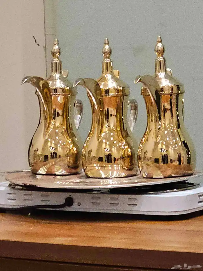 قهوجين الشرقية 17