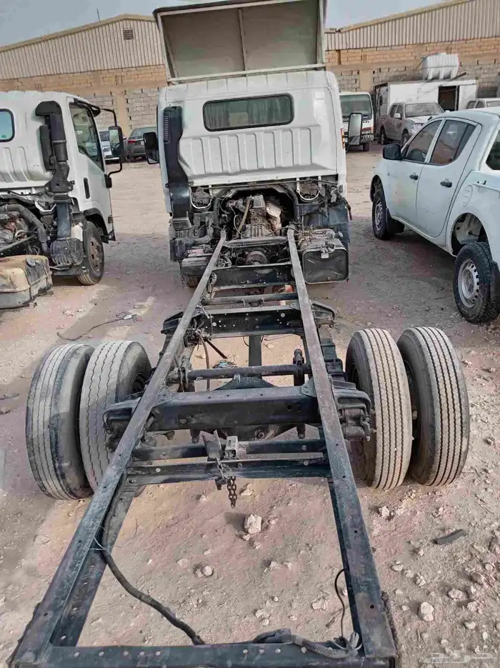 دينا مستوبشي 3
