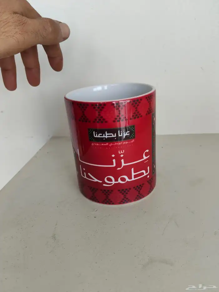 كأس اليوم الوطني السعودي 95 2