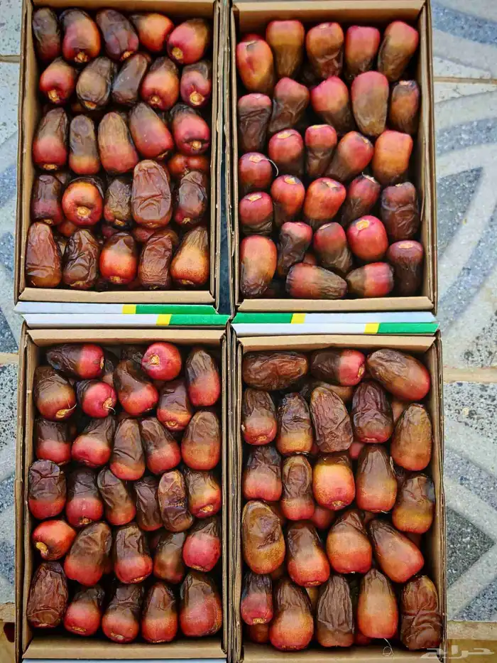 ونانه مناصيف عضوي 0