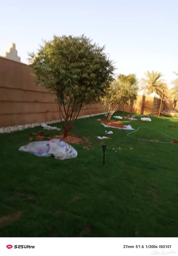 قليل نحل تنظيف نخل وشنتن تكريب النظافه 5