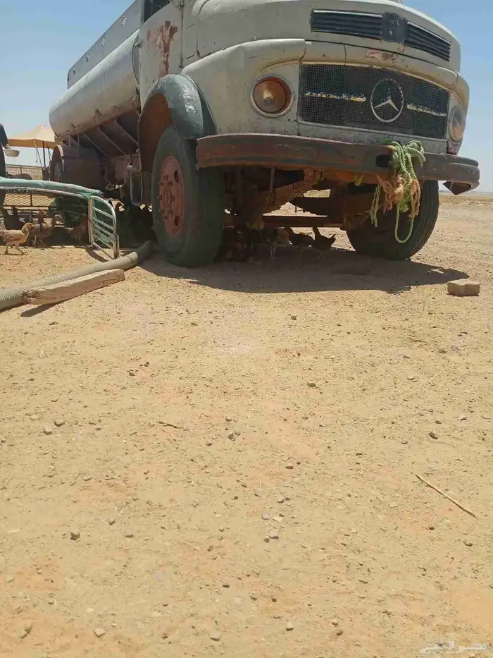 دجاج مشروك ابونه وحد العديد 48 الموقع بغعاء 2