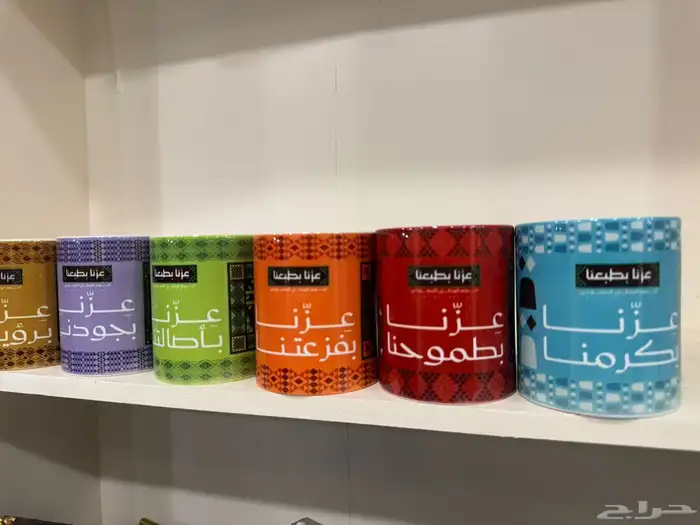 كأس اليوم الوطني السعودي 95 8