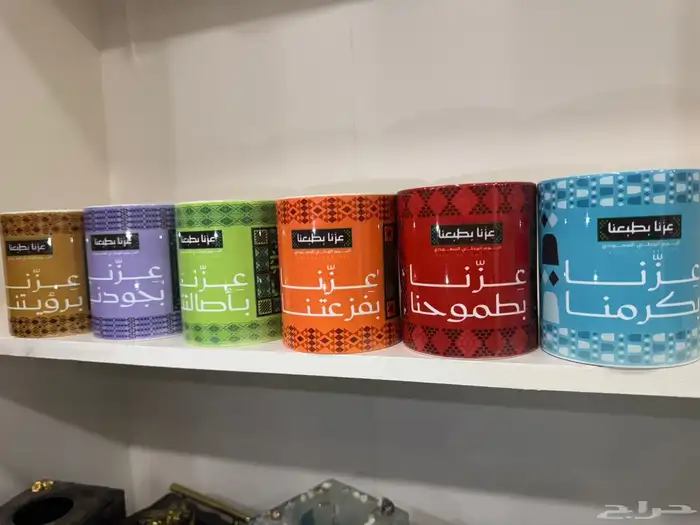 كأس اليوم الوطني السعودي 95 7