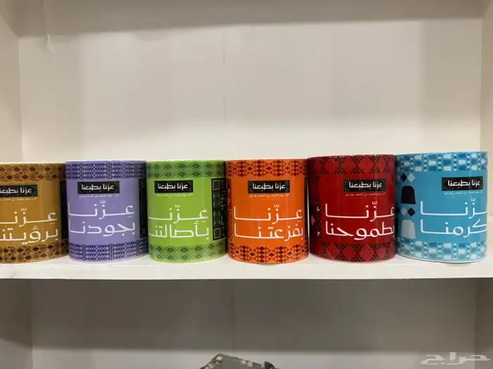 كأس اليوم الوطني السعودي 95 9