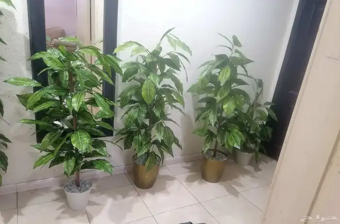 اشجار زينه ديكوريه 2