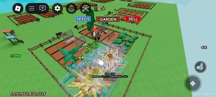 حساب روبلكس ماب المزرعه و ماب السرقه و ماب blox fruit 0