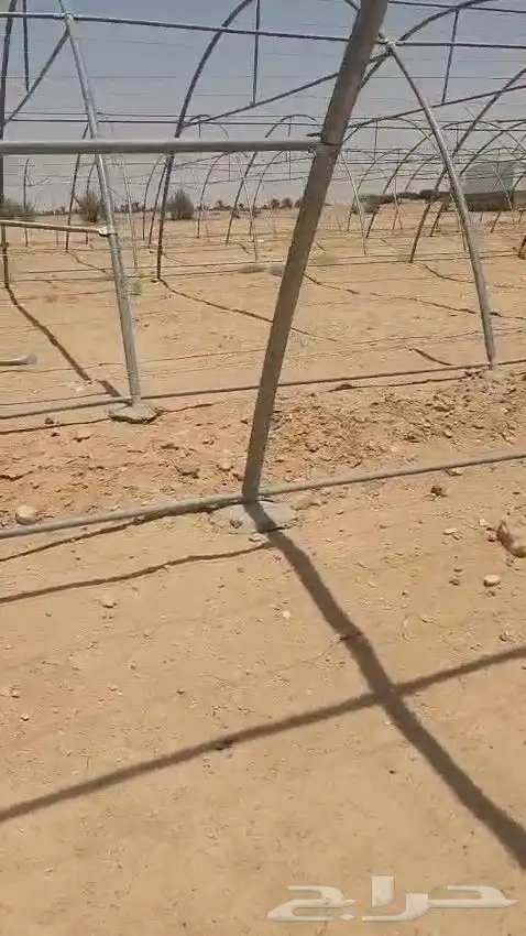 بيوت محميه مجلفن للبيع 1