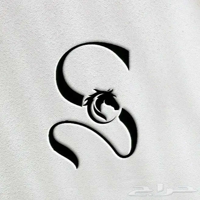 تصميم شعارات فخمه بأسعار رمزيه 17