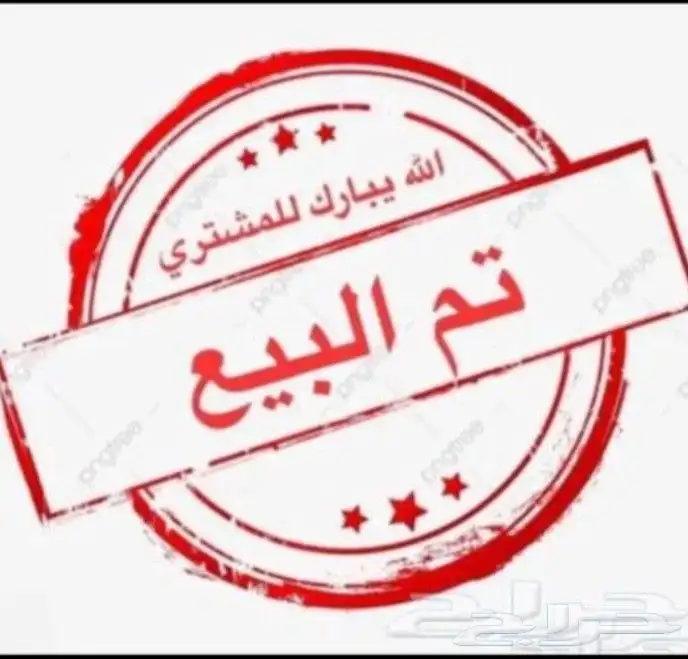 زوج كناري سوري منتج (تم البيع ) 9