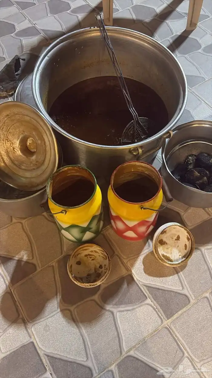 سمن بقر بري جديد في بيشه 0
