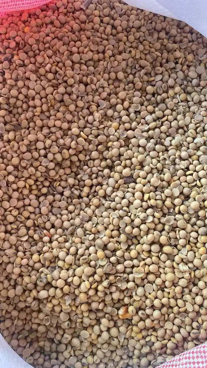 الاحساءالمنيزلة 0
