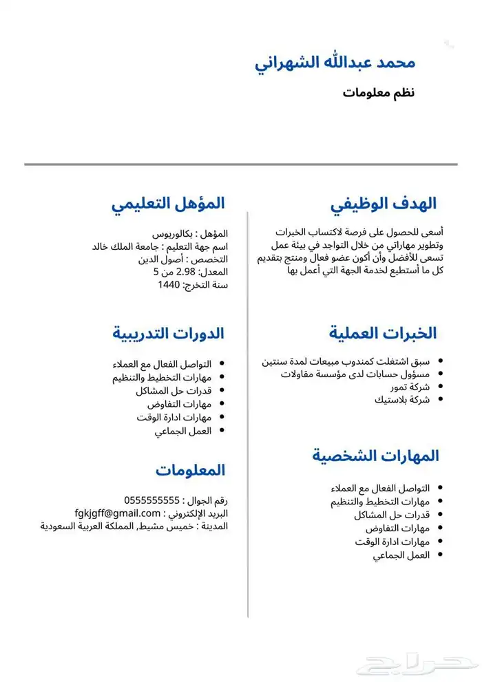 سيره ذاتيه احترافيه ب15 0