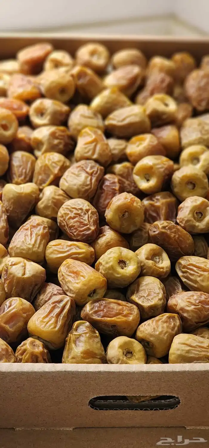 تمر سكري فاخر وطيب 3
