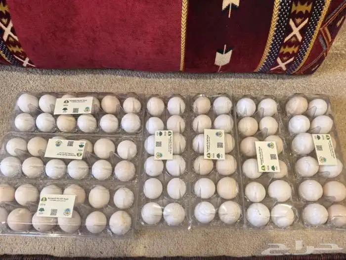 بيض بلدي انتاج مزرعة السراة العضوية 0