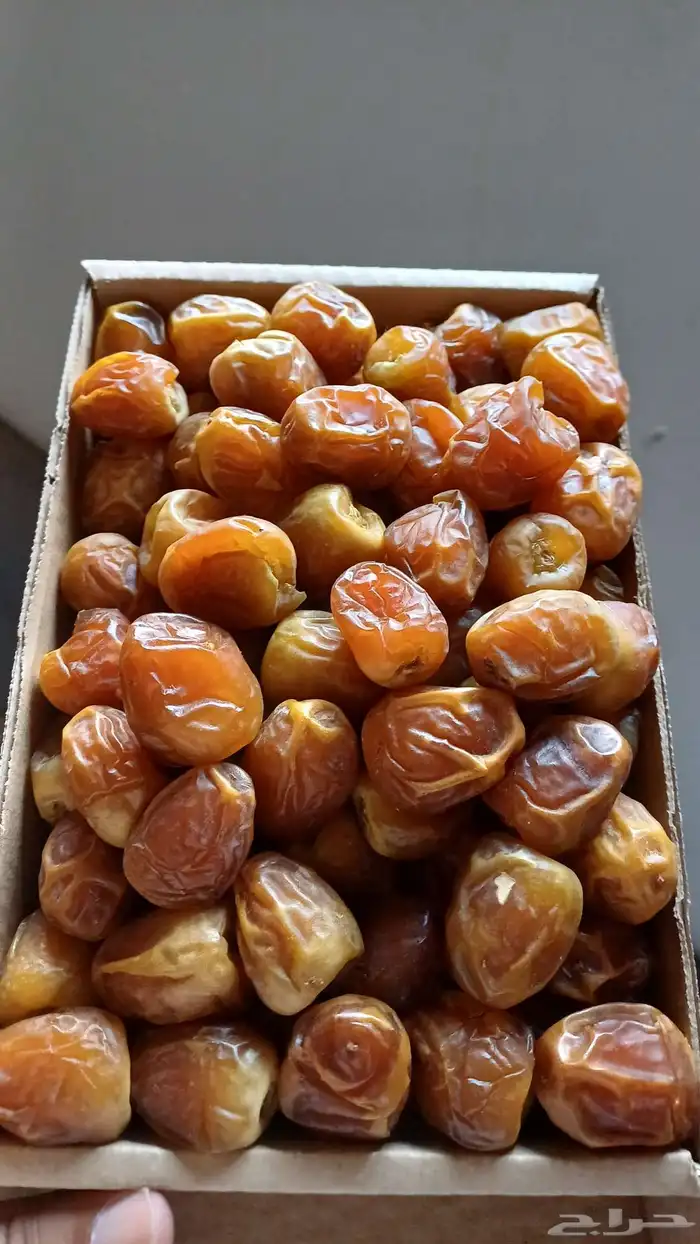 تمور القصيم 0