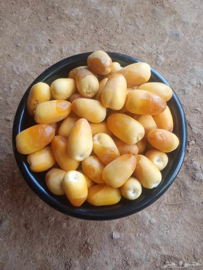 رطب خلاص للبيع 3