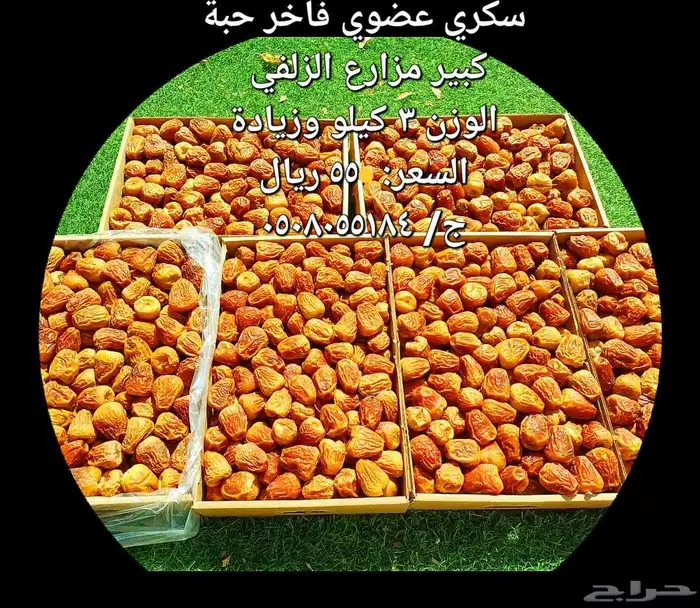 تمر سكري عضوي فاخر حبة كبير مفتل وجالكسي 0