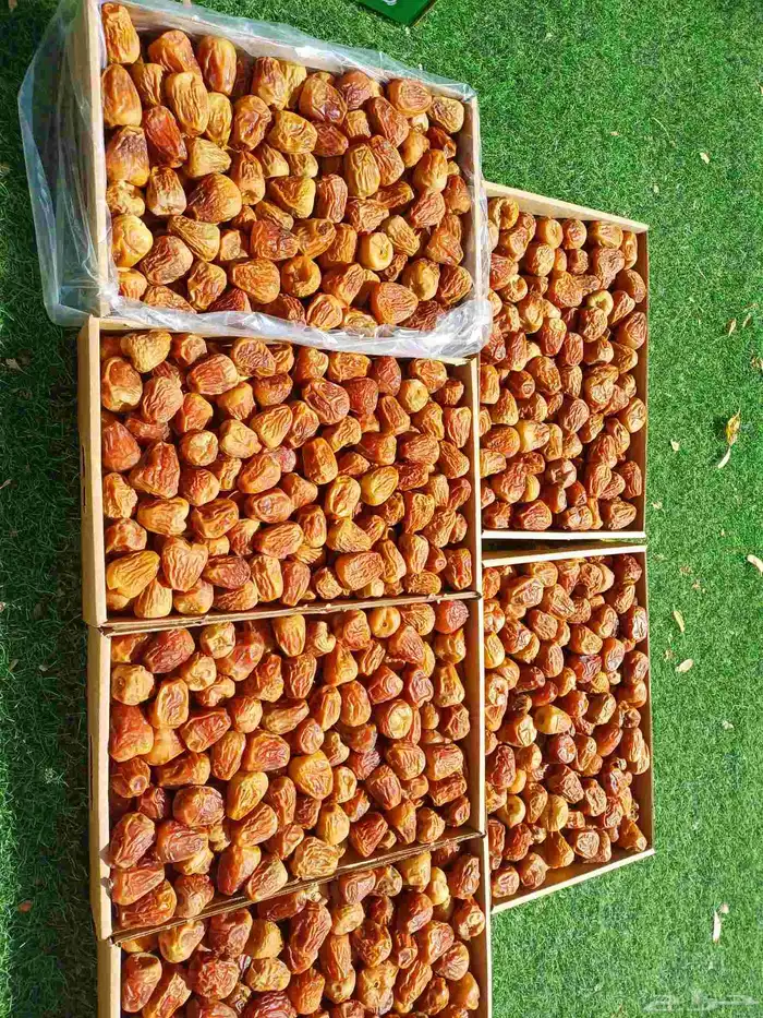تمر سكري عضوي فاخر حبة كبير مفتل وجالكسي 3