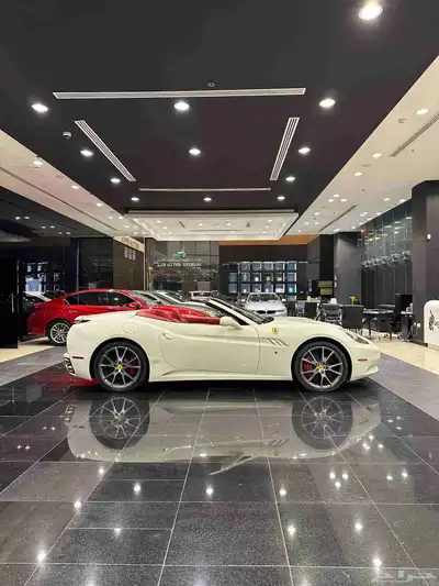 Ferrari California Model 2013 index