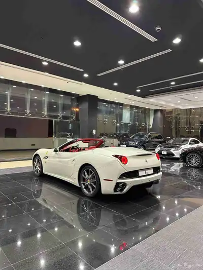 Ferrari California Model 2013 index