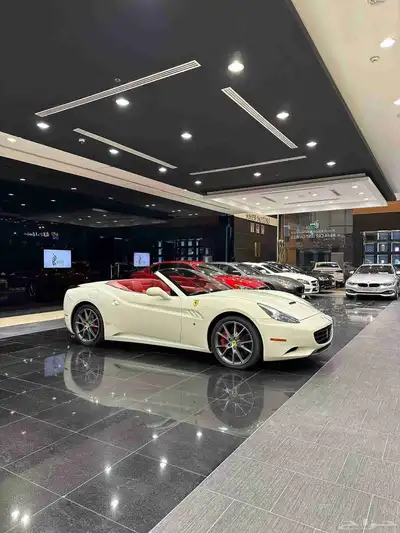 Ferrari California Model 2013 index