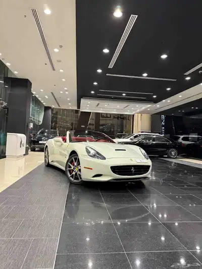 Ferrari California Model 2013 index