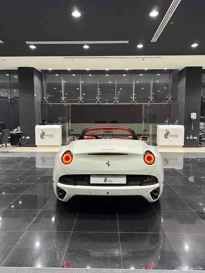 Ferrari California Model 2013 index