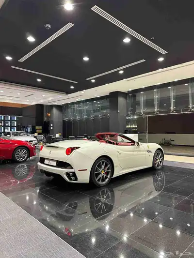 Ferrari California Model 2013 index