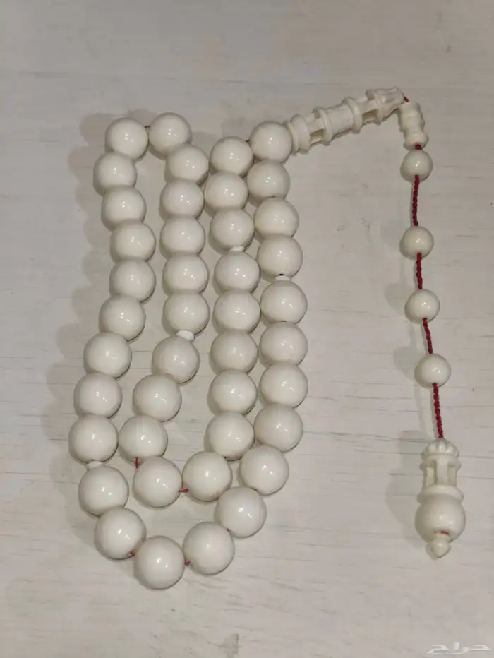 مسباح عظم جمل 1