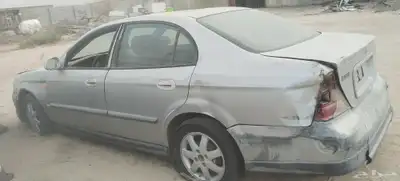 شيفورليا ابيكا index