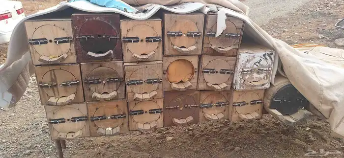 خلاي نحل فاضي للبيع الموقع بارق 0