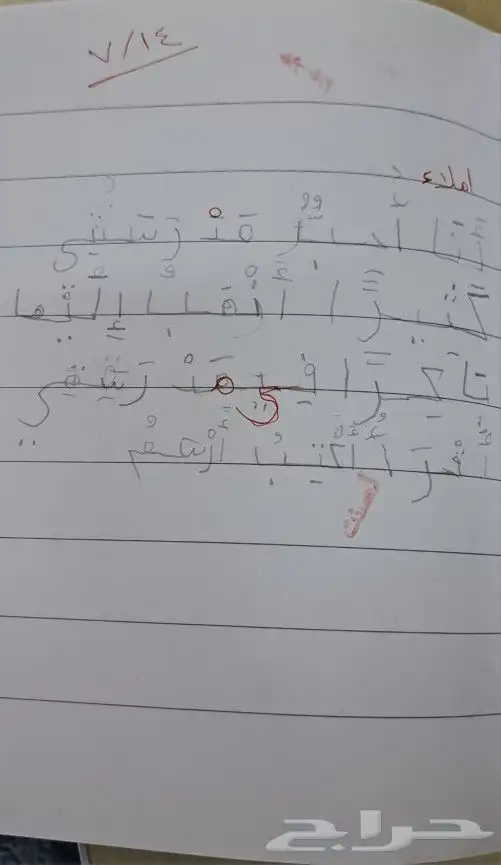 معلمة تأسيس ومتابعه 4