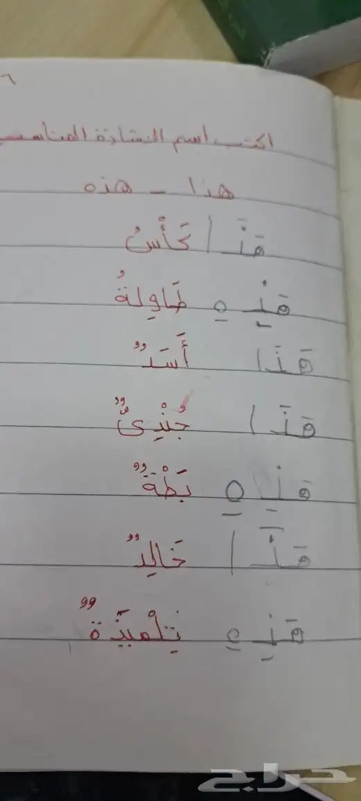 معلمة تأسيس ومتابعه 7