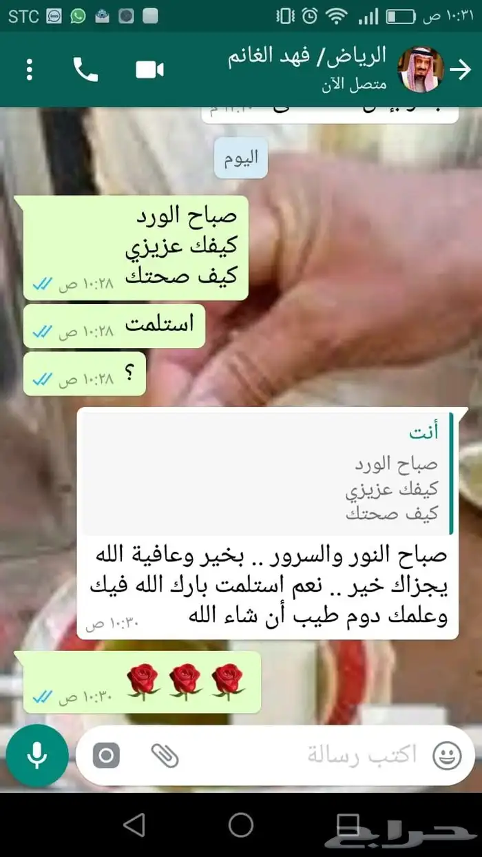 زيت زيتون عالي الجودة معصور على البارد فاخر للغاية 37