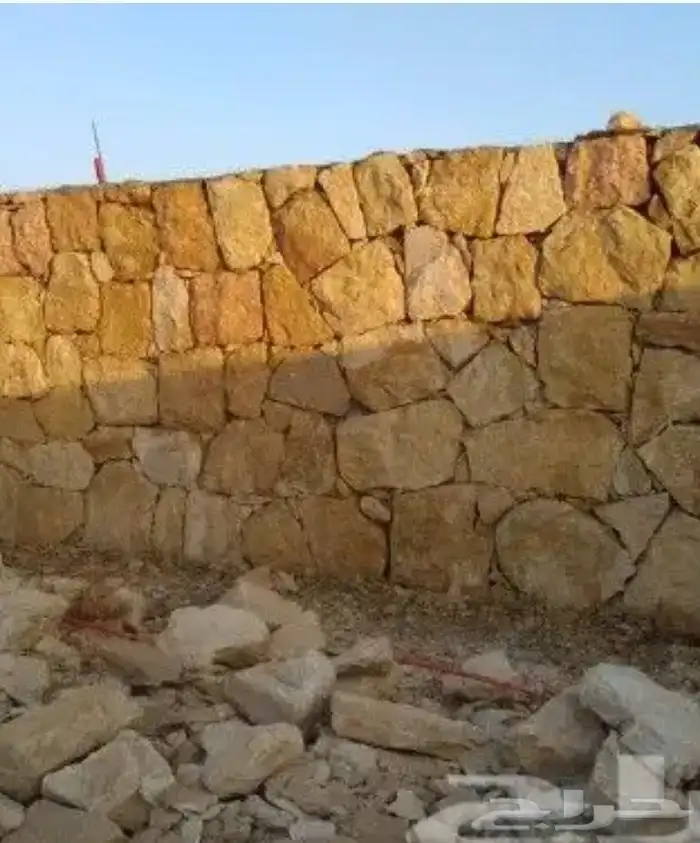 الرياض 0