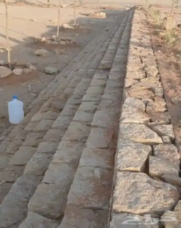 الرياض 1