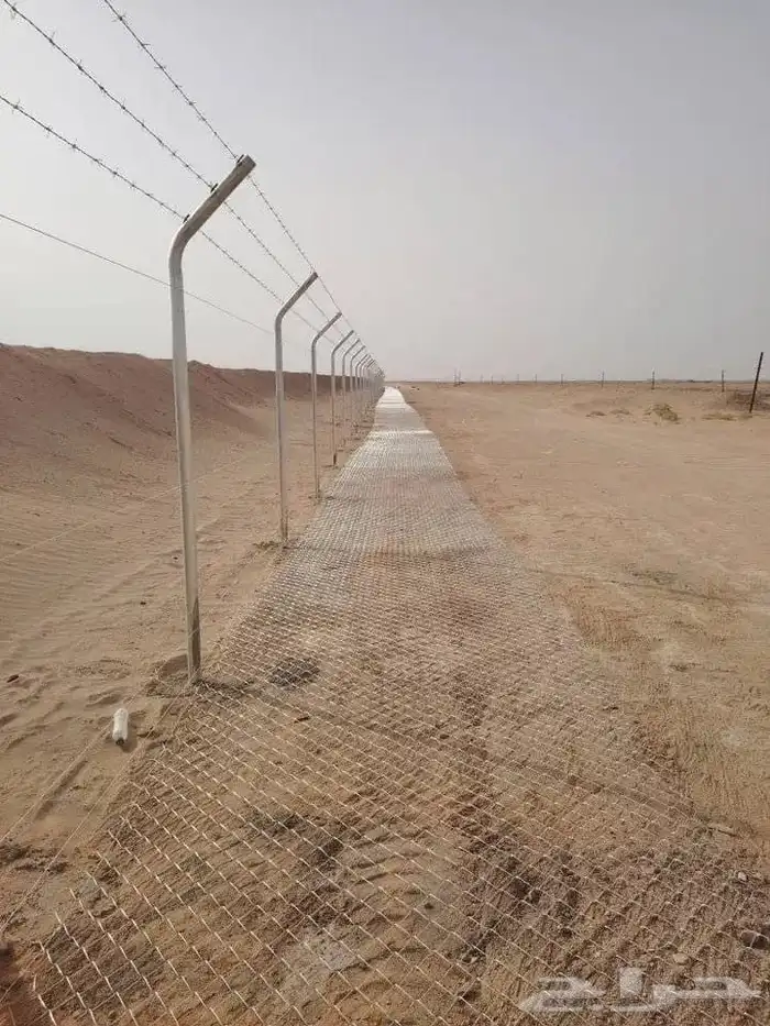 الرياض 8
