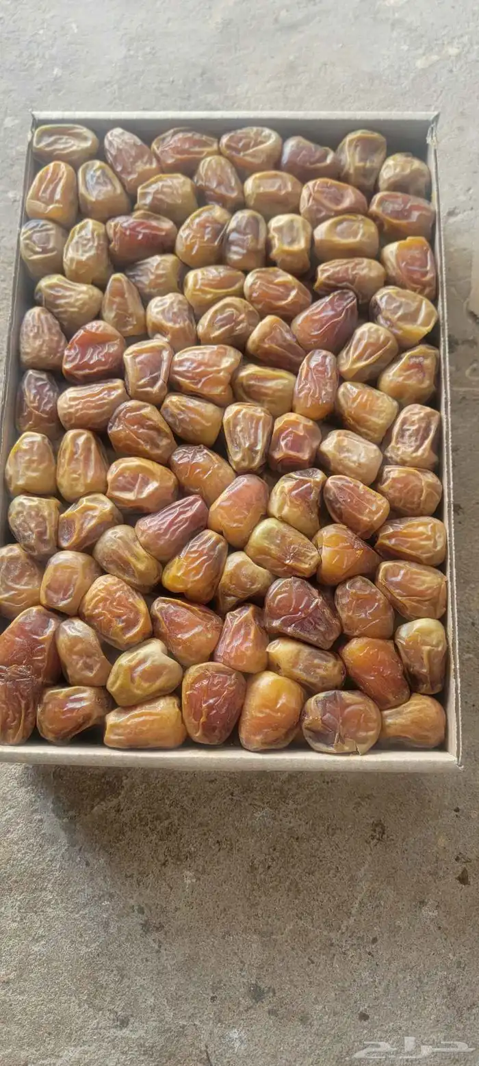 موجود سكري رطب الكميه مفتوحه السعر 22ريال الموقع القصيم 0
